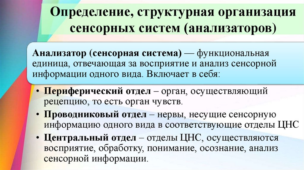 Определение, структурная организация сенсорных систем (анализаторов)