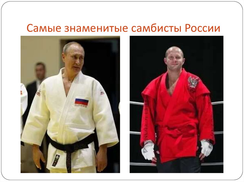 Самые знаменитые самбисты России