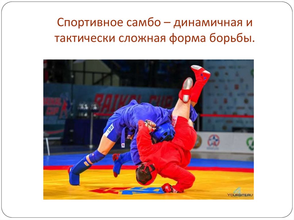 Спортивное самбо – динамичная и тактически сложная форма борьбы.