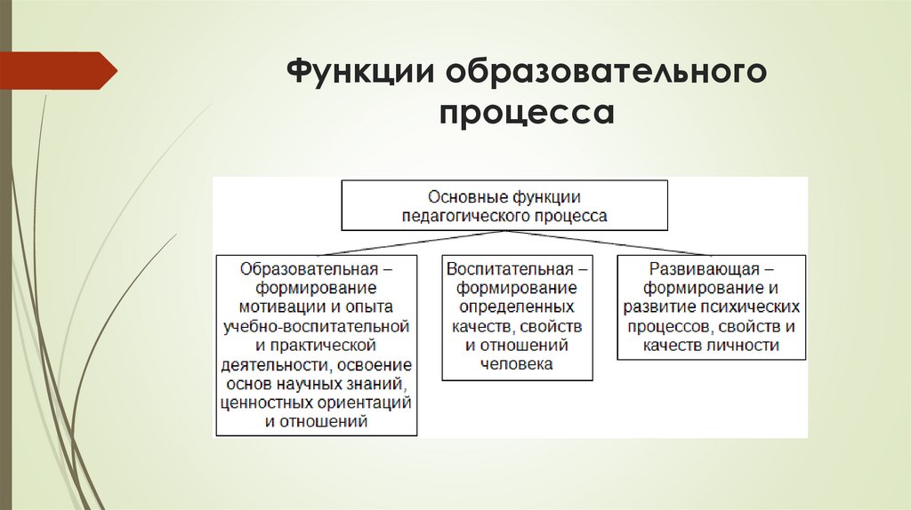 Функции образовательного процесса