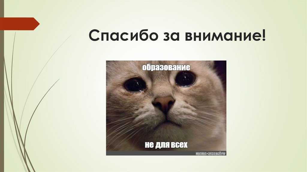 Спасибо за внимание!