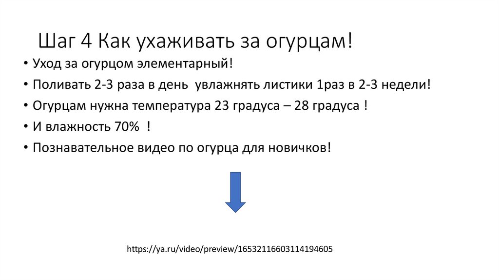 Шаг 4 Как ухаживать за огурцам!