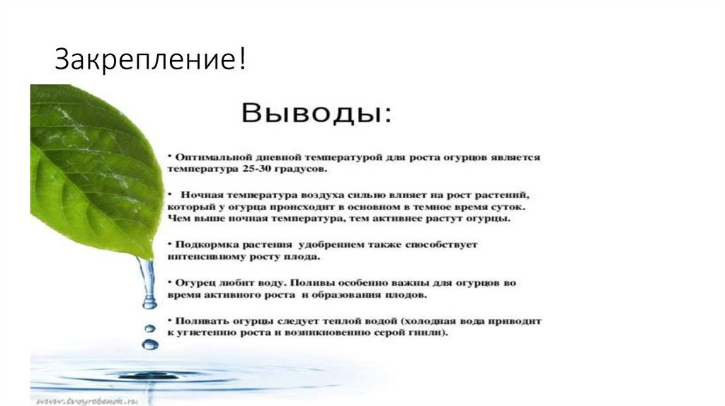 Закрепление!