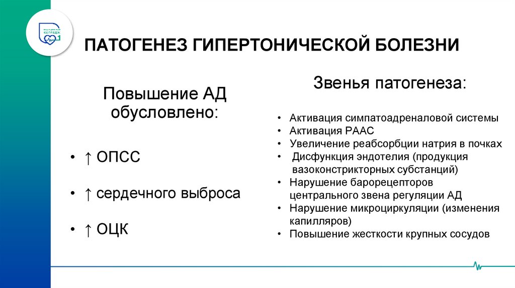 ПАТОГЕНЕЗ ГИПЕРТОНИЧЕСКОЙ БОЛЕЗНИ