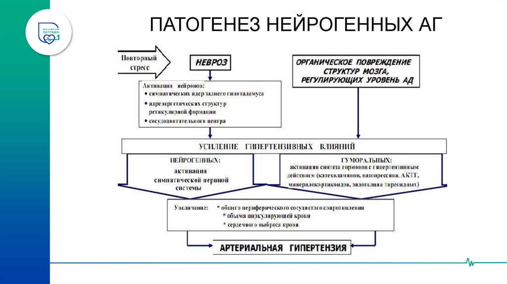 КЛАССИФИКАЦИЯ СИМПТОМАТИЧЕСКИХ АГ