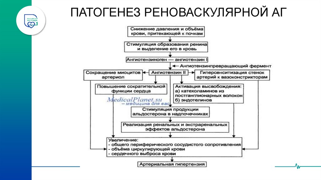 ПАТОГЕНЕЗ НЕЙРОГЕННЫХ АГ