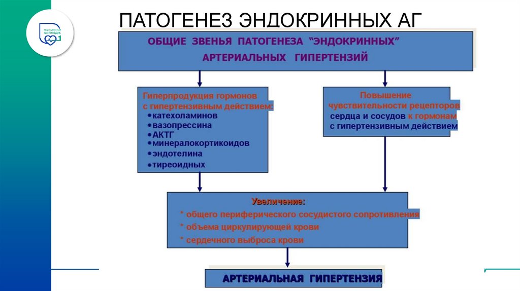 ПАТОГЕНЕЗ РЕНОПАРЕНХИМАТОЗНОЙ АГ