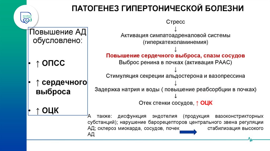 ПАТОГЕНЕЗ ГИПЕРТОНИЧЕСКОЙ БОЛЕЗНИ
