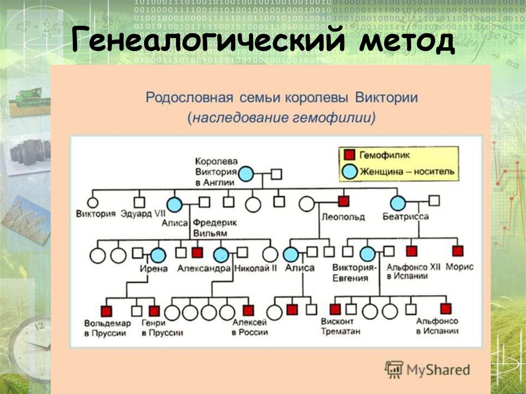 Генеалогический метод