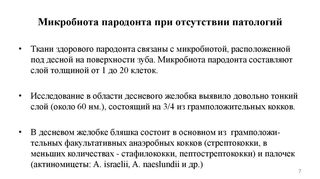 Микробиота пародонта при отсутствии патологий