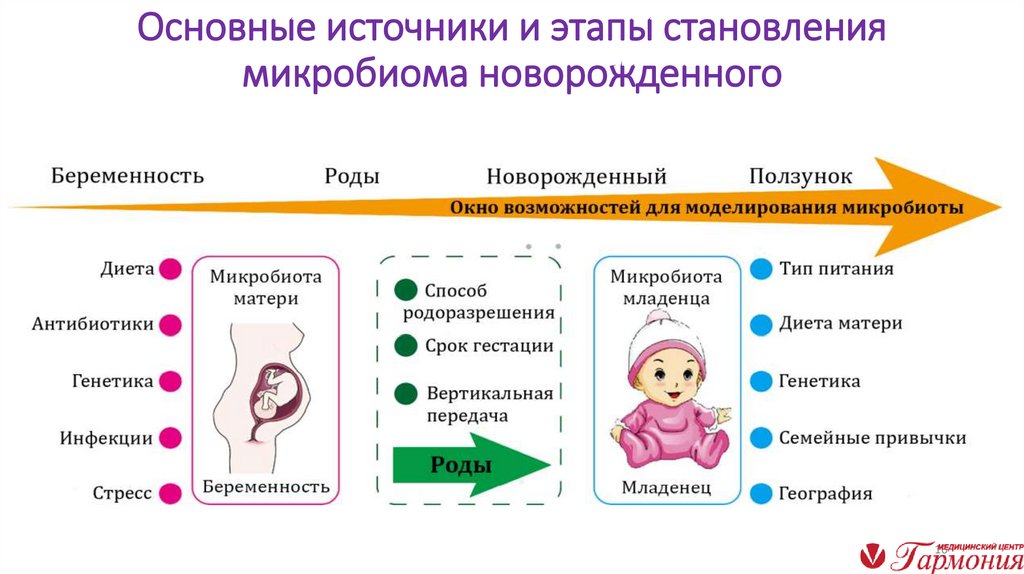 Основные источники и этапы становления микробиома новорожденного