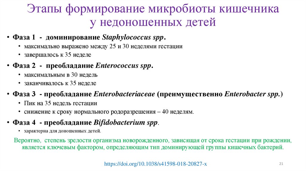 Этапы формирование микробиоты кишечника у недоношенных детей