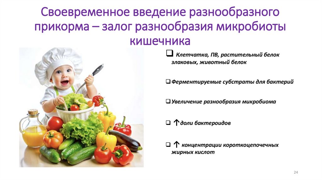 Своевременное введение разнообразного прикорма – залог разнообразия микробиоты кишечника