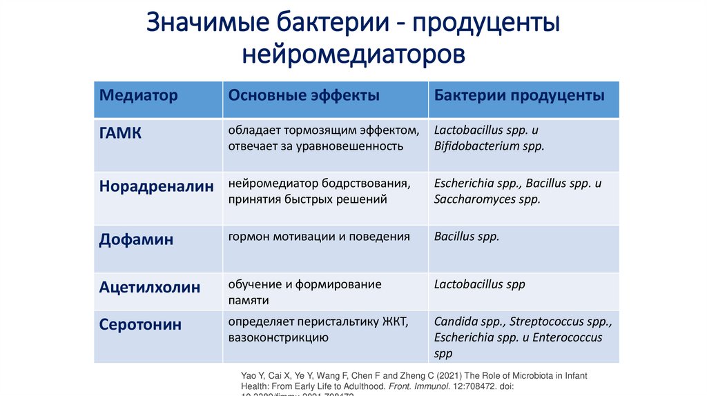 Значимые бактерии - продуценты нейромедиаторов