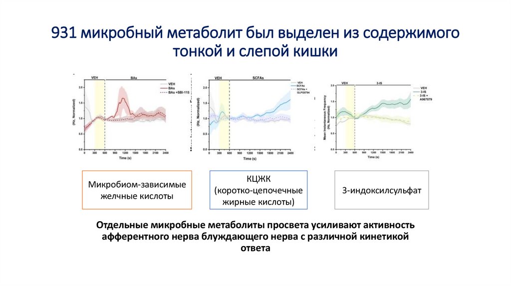 931 микробный метаболит был выделен из содержимого тонкой и слепой кишки