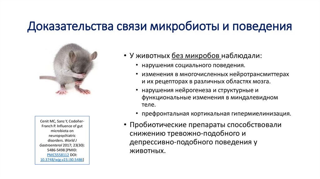 Доказательства связи микробиоты и поведения
