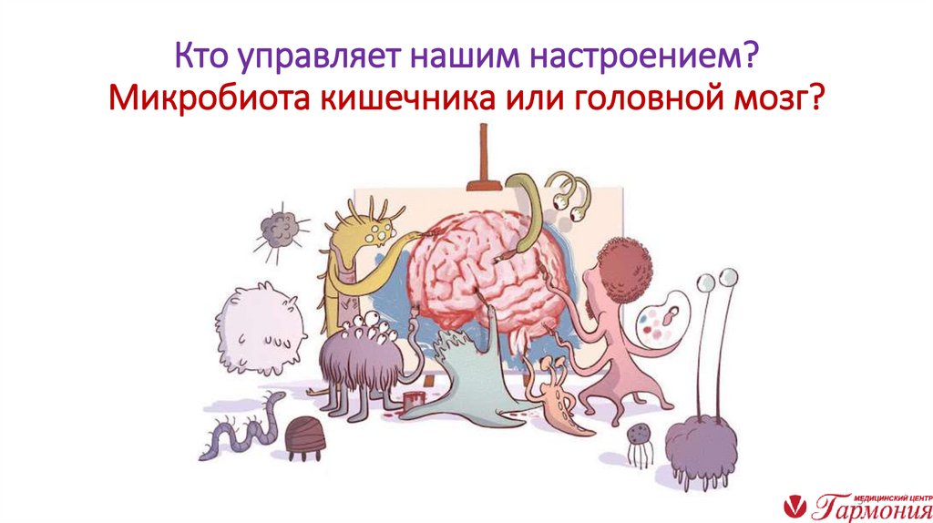 Кто управляет нашим настроением? Микробиота кишечника или головной мозг?