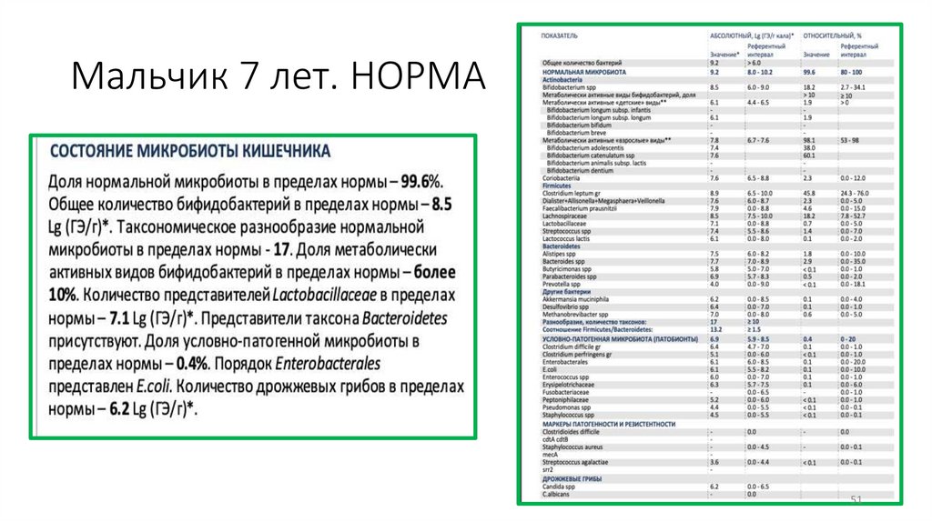 Мальчик 7 лет. НОРМА