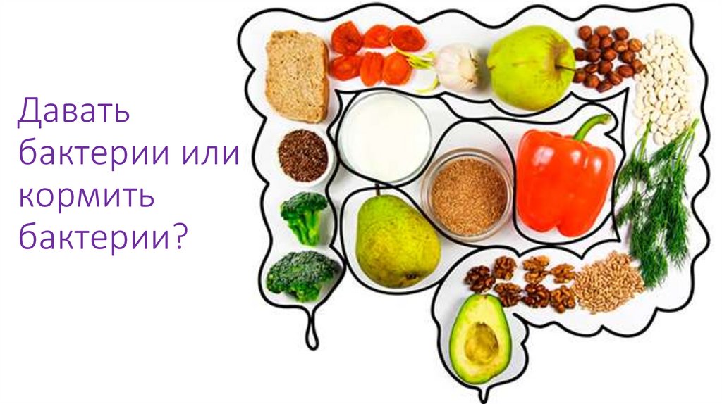 Давать бактерии или кормить бактерии?