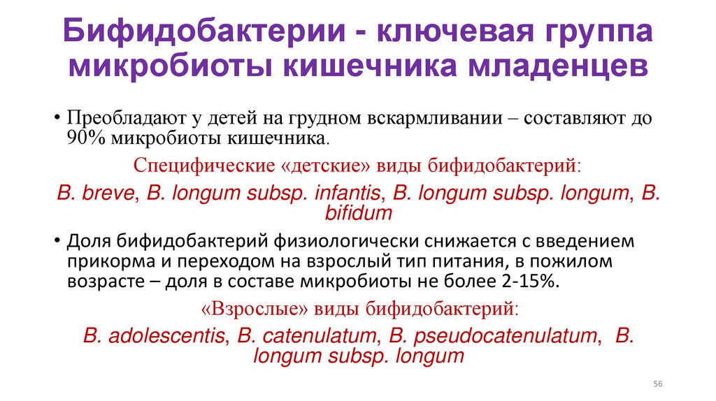 Бифидобактерии - ключевая группа микробиоты кишечника младенцев