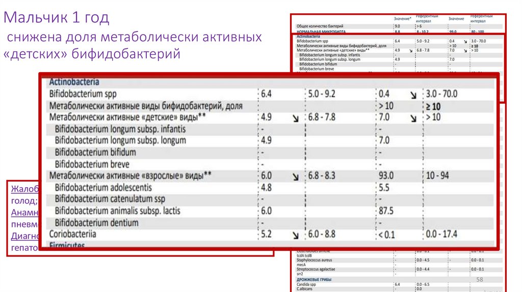Мальчик 1 год снижена доля метаболически активных «детских» бифидобактерий