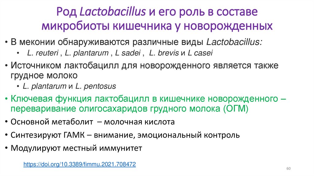 Род Lactobacillus и его роль в составе микробиоты кишечника у новорожденных
