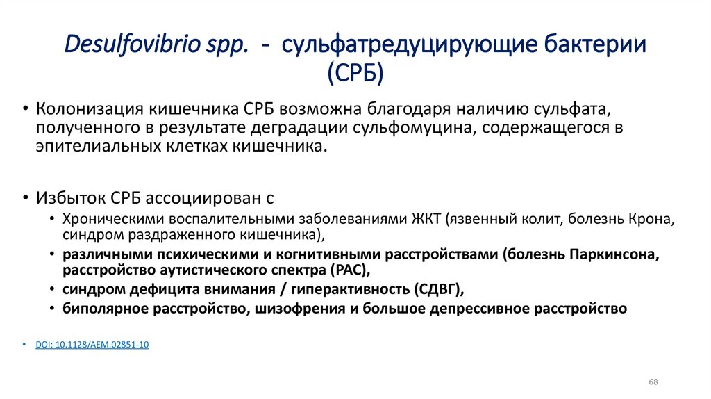 Desulfovibrio spp. - cульфатредуцирующие бактерии (СРБ)