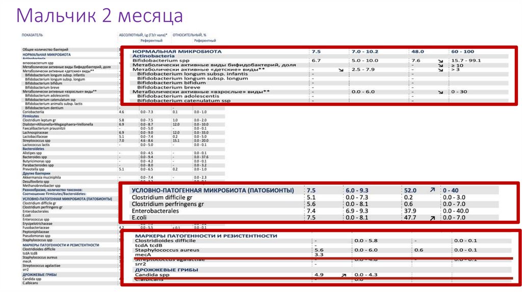 Мальчик 2 месяца