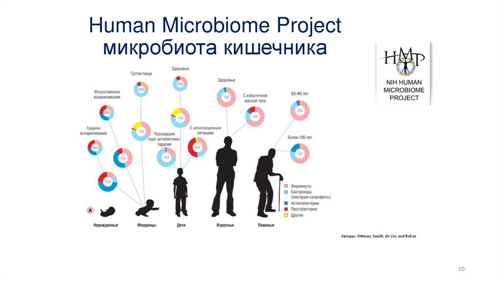 Human Microbiome Project микробиота кишечника
