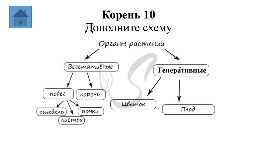 Корень 10 Дополните схему