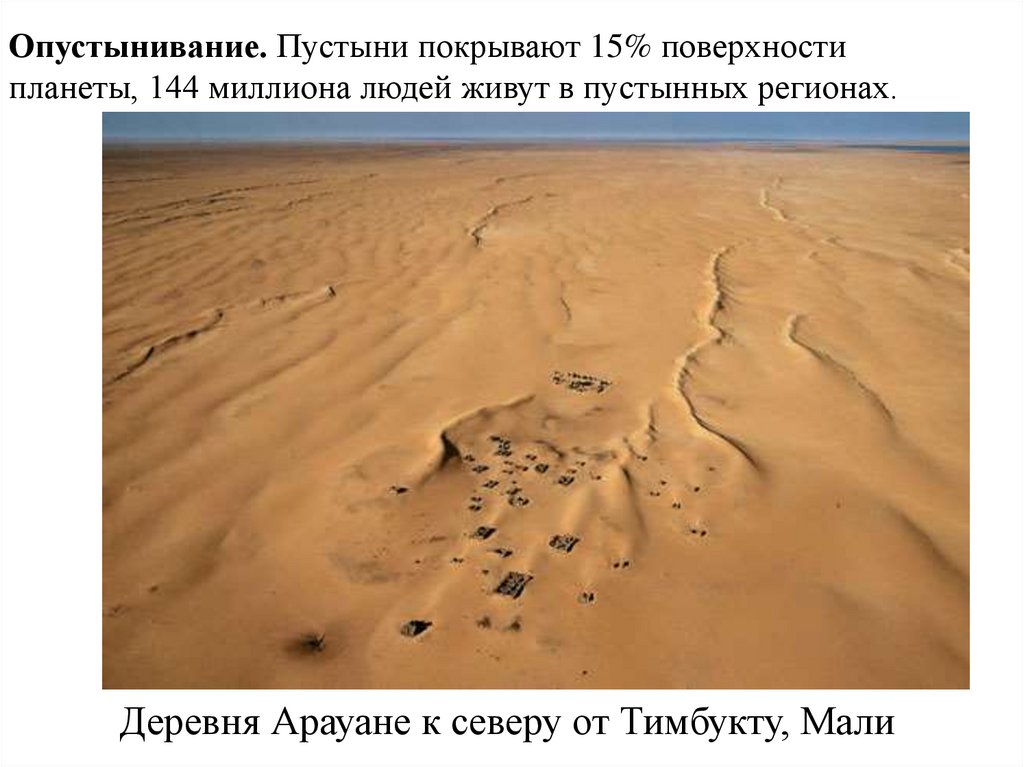 Деревня Арауане к северу от Тимбукту, Мали 