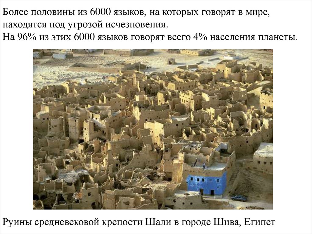 Руины средневековой крепости Шали в городе Шива, Египет 