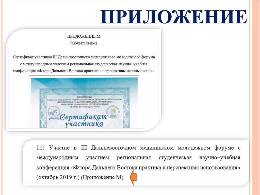 ПРИЛОЖЕНИЕ