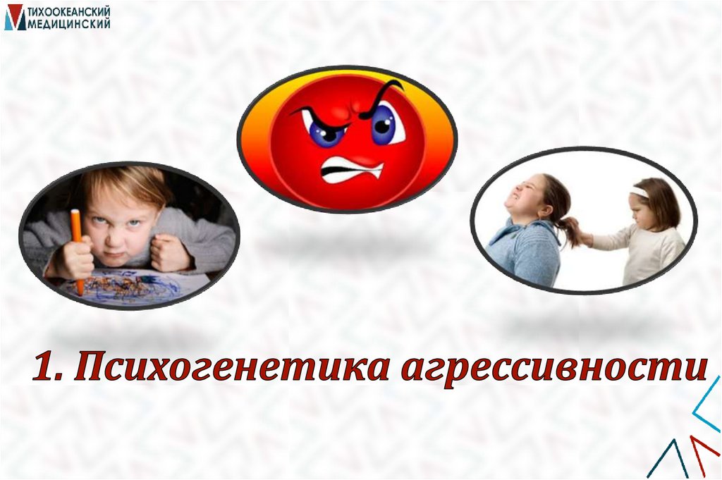 1. Психогенетика агрессивности
