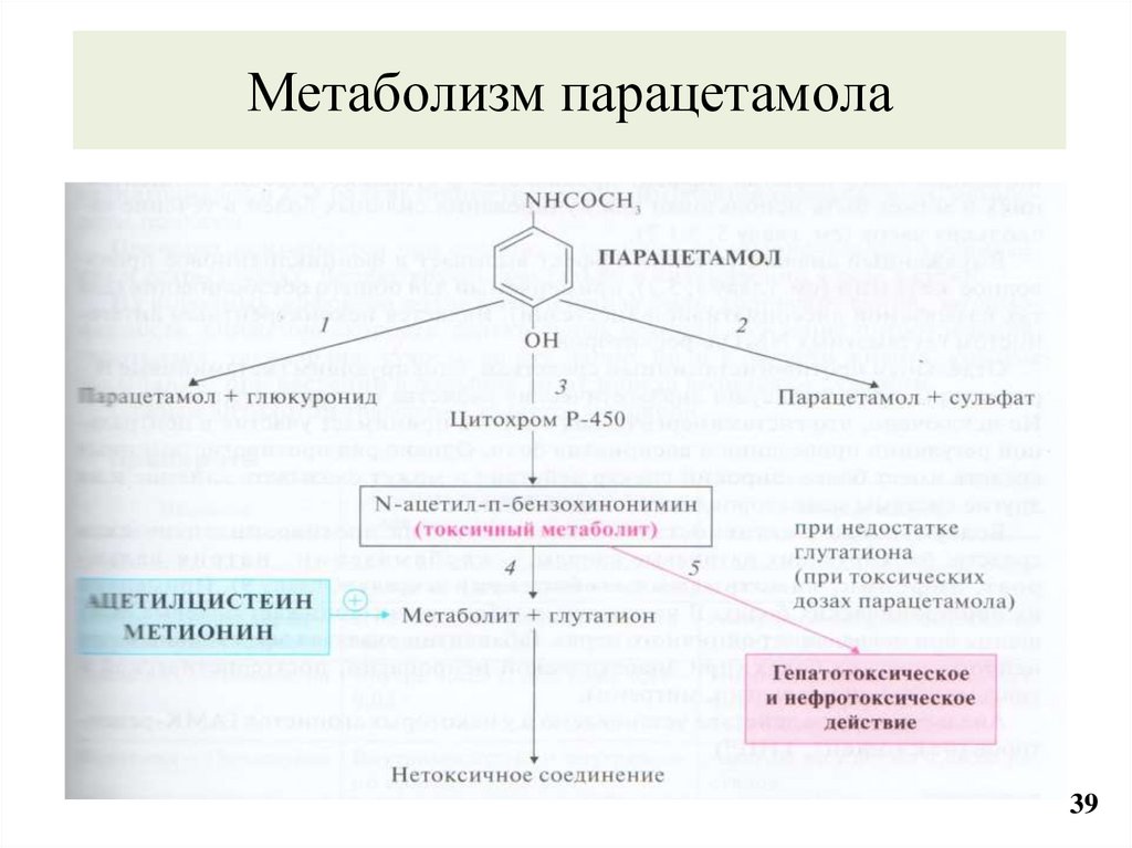 Метаболизм парацетамола