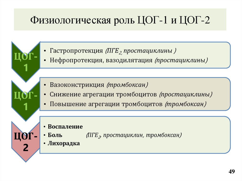 Физиологическая роль ЦОГ-1 и ЦОГ-2