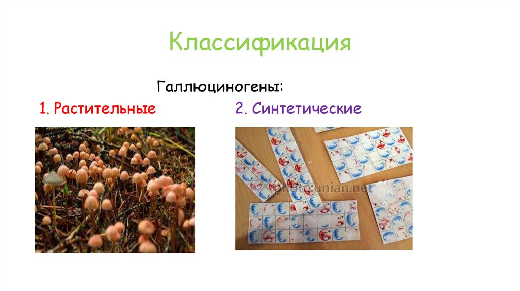 Классификация