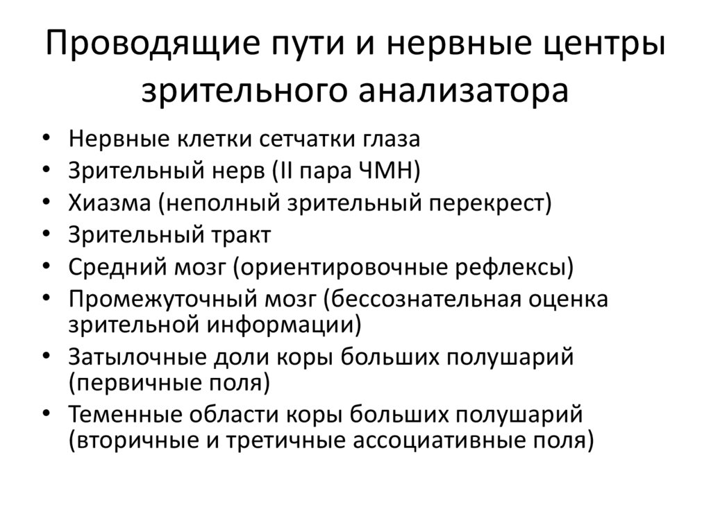 Проводящие пути и нервные центры зрительного анализатора
