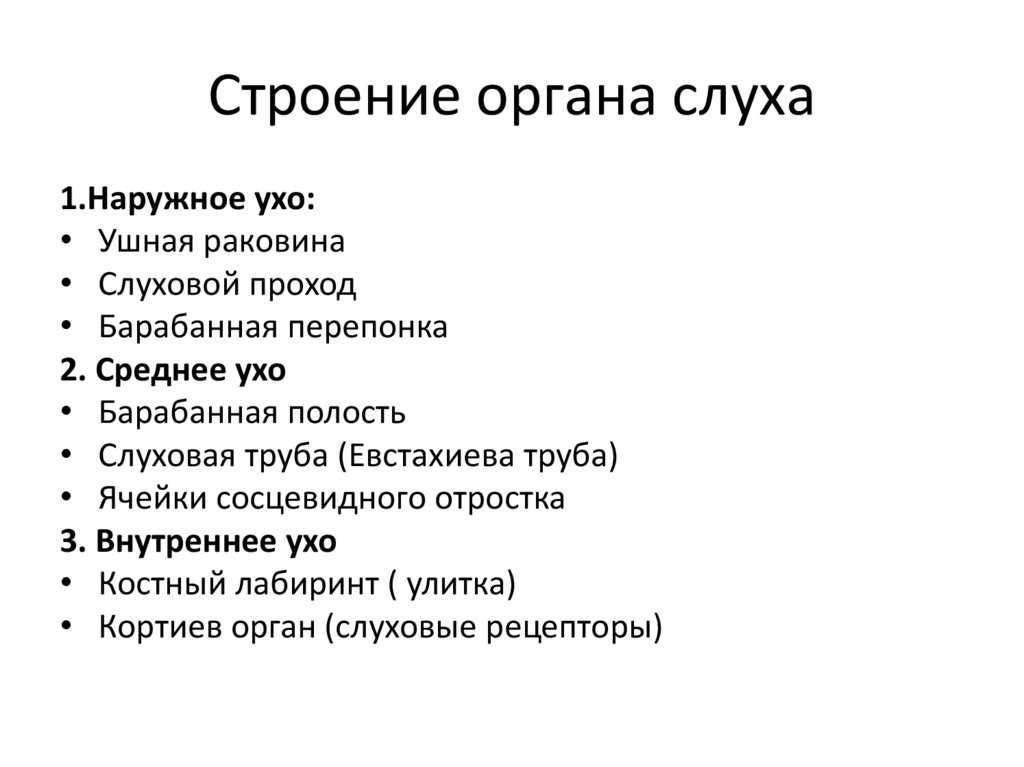 Строение органа слуха