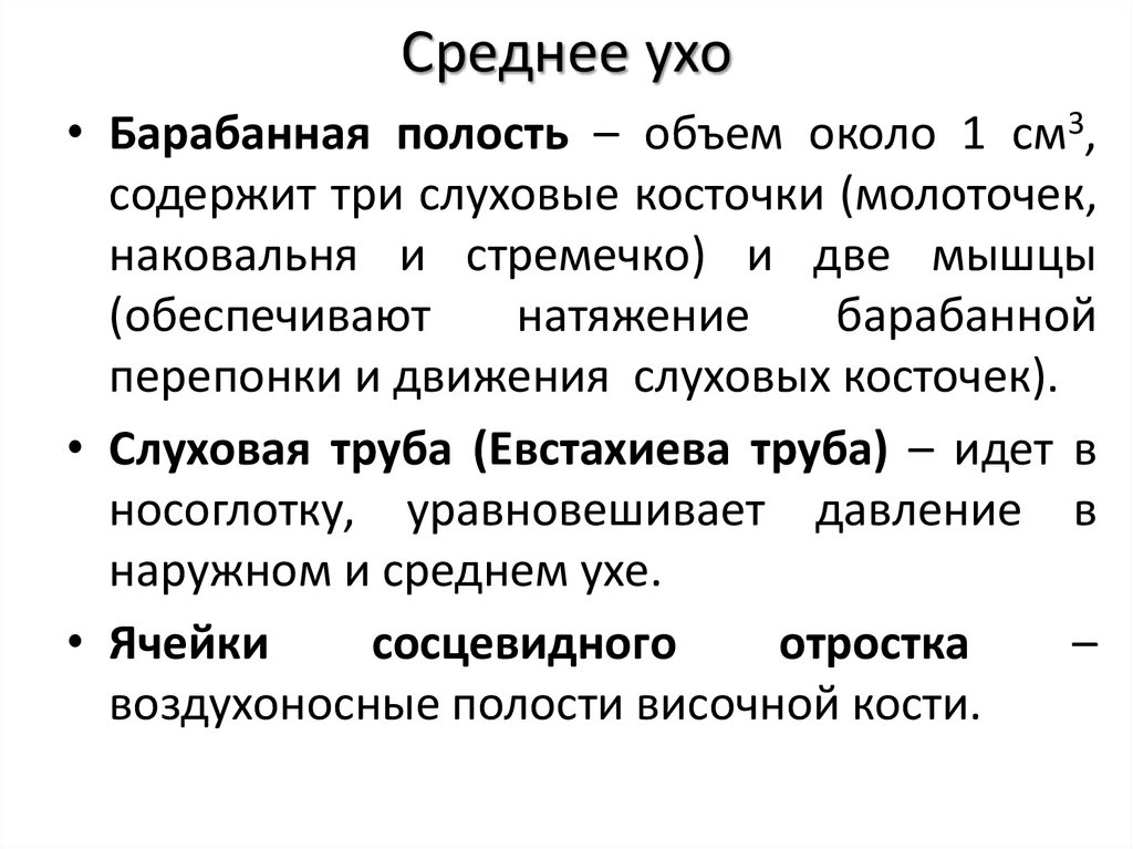 Среднее ухо