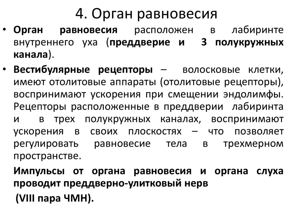 4. Орган равновесия