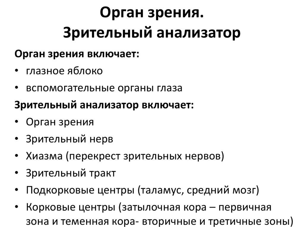 Орган зрения. Зрительный анализатор