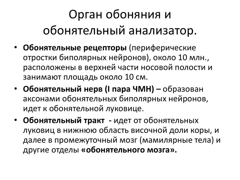 Орган обоняния и обонятельный анализатор.