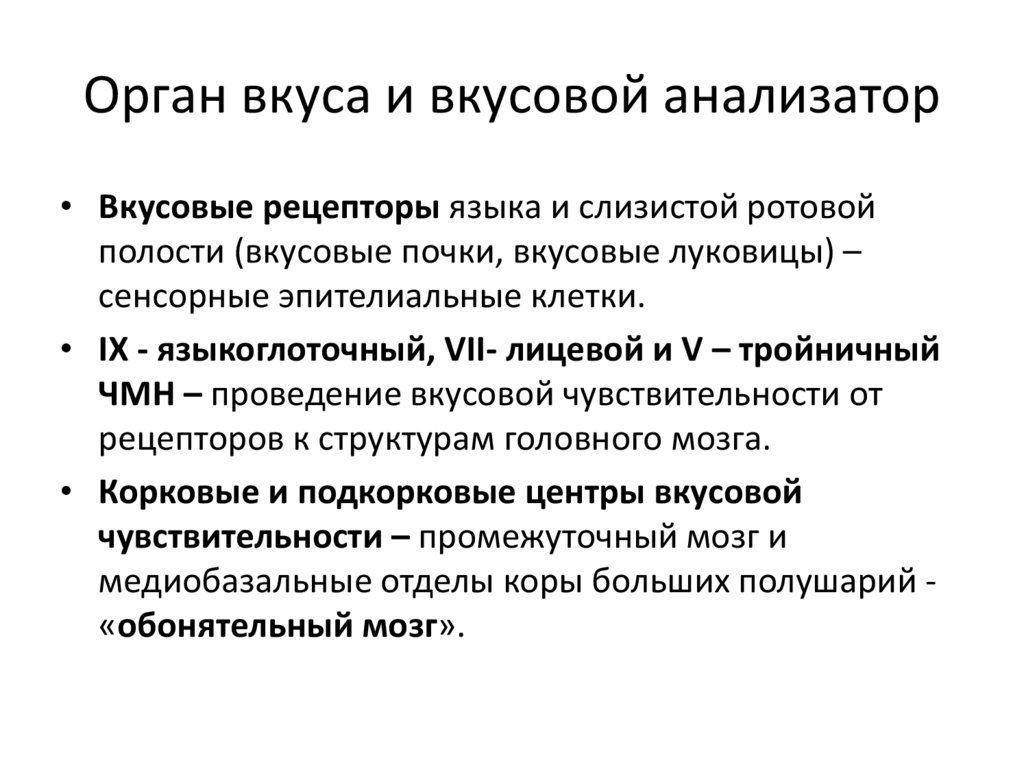 Орган вкуса и вкусовой анализатор