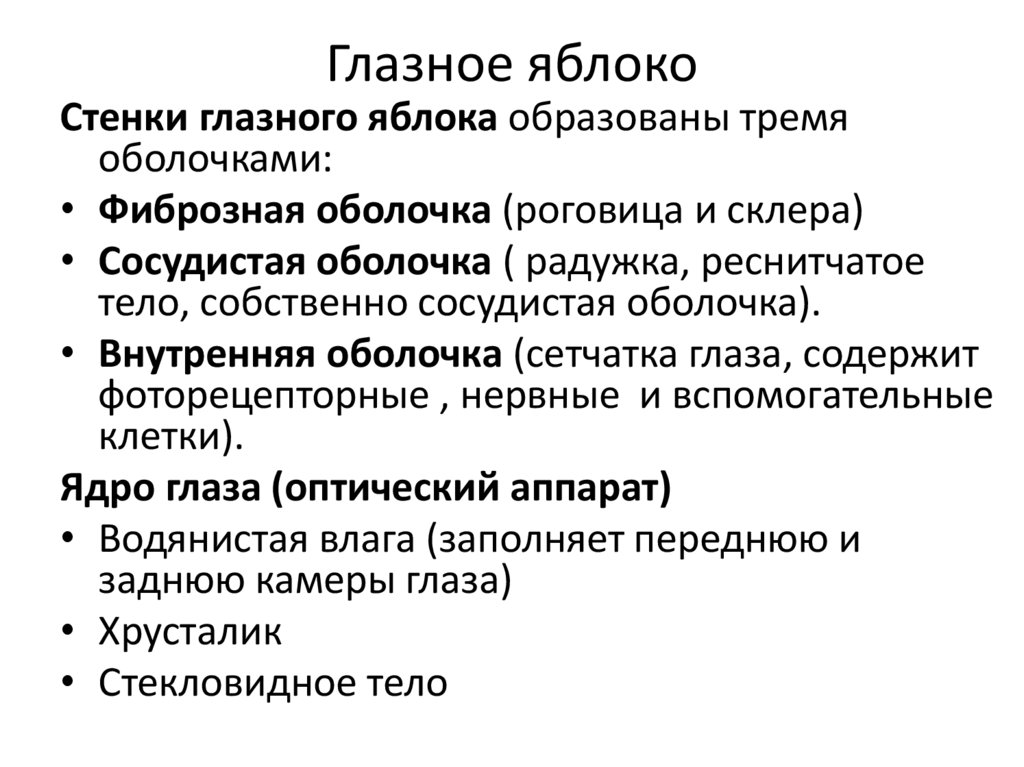 Глазное яблоко