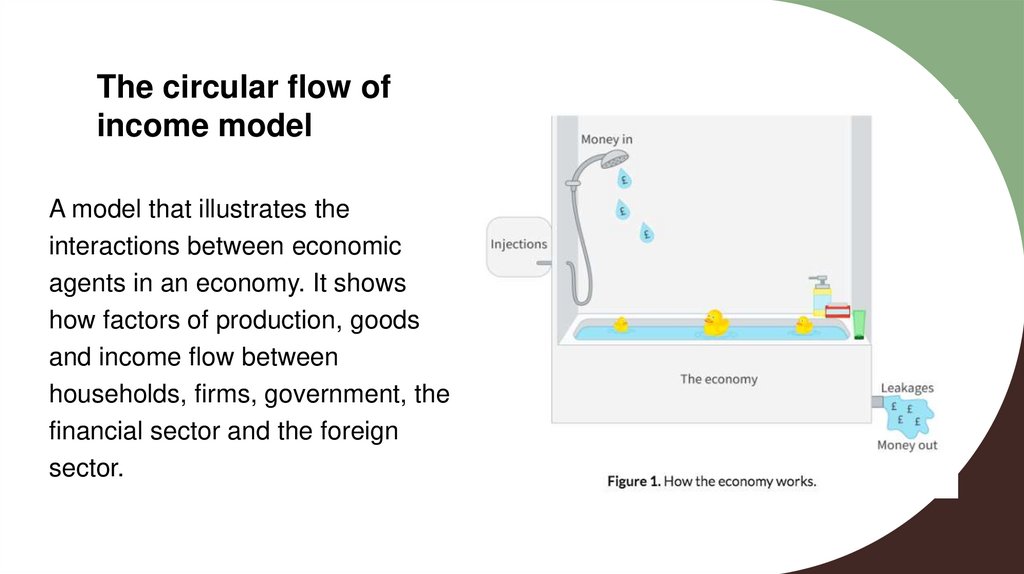 The circular flow of income model