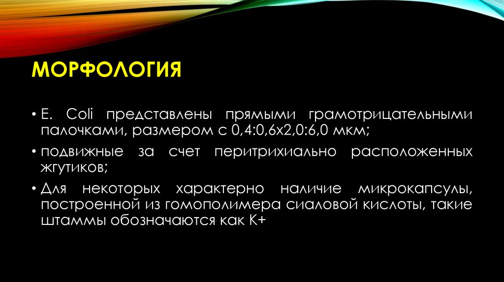 МОрфология