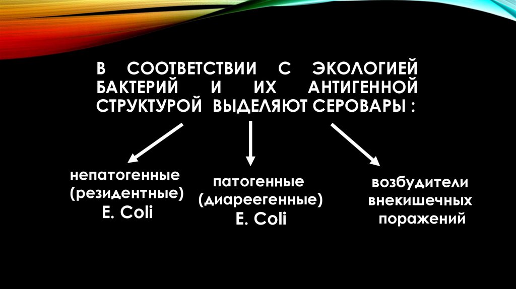 В соответствии с экологией бактерий и их антигенной структурой выделяют серовары :