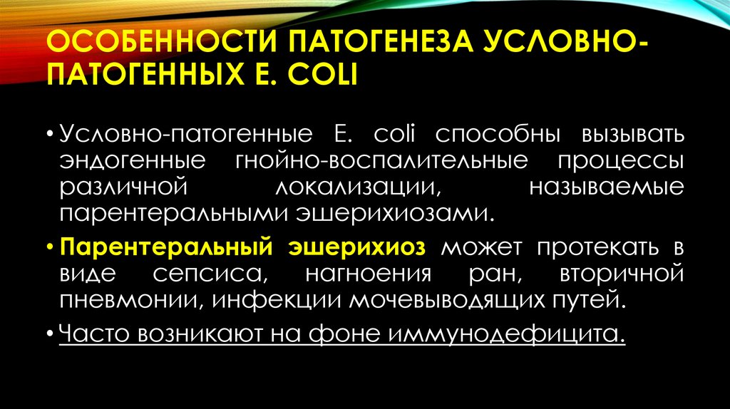 Особенности патогенеза условно-патогенных e. coli