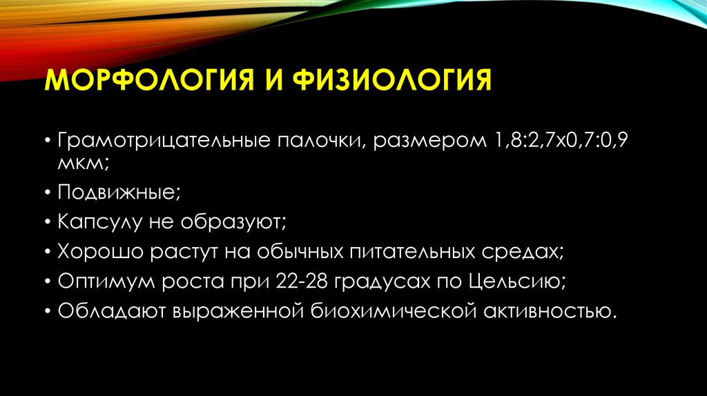 Морфология и физиология